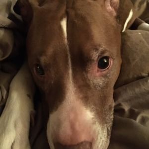 Meet your Posher, Jaquenette